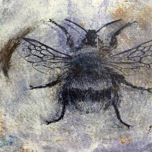 Schnup­per­kurs Kalt­na­del­ra­die­rung <br> Ruth Luxen­ho­fer <br> ab 17.01.2026